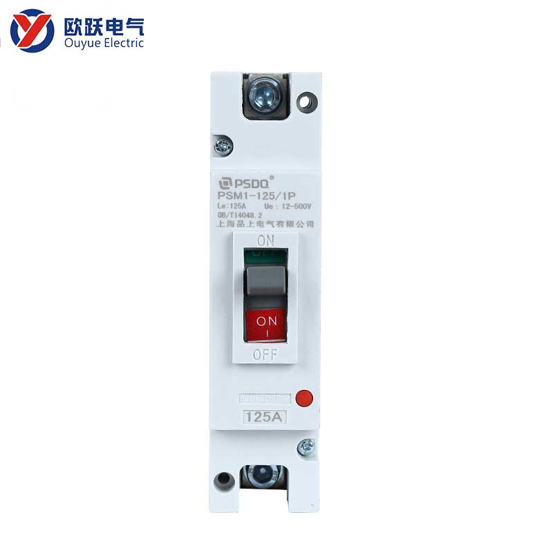 Finxit Case Circuit Breaker 125A 1P